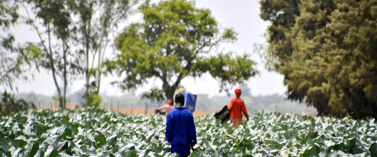 Ekonomicontroller till Union to Union i Stockholm