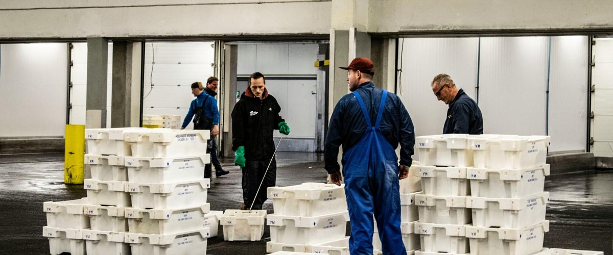 MAGASINIER LOGISTIQUE  (H/F/X)
