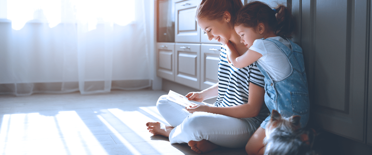 Ekonomichef till Tollco – var med på en tillväxtresa!