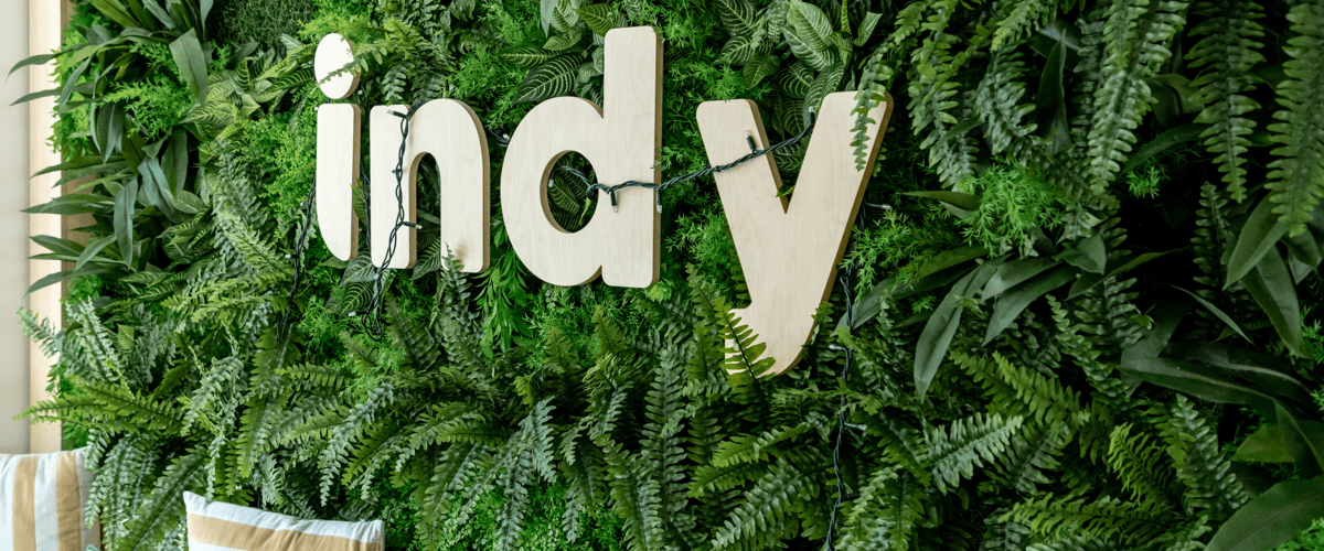 Offre d'emploi développeur Indy