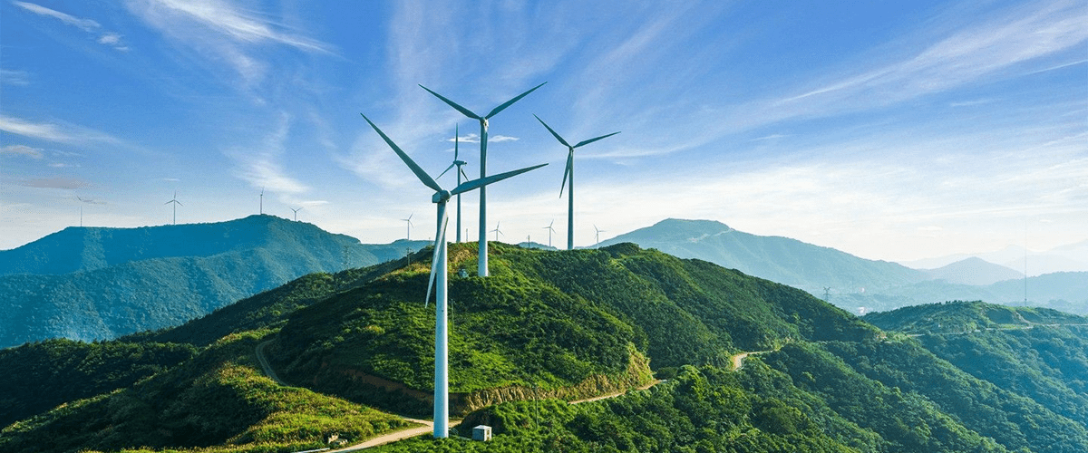 Chief Accountant to Schneider Electric – Copenhagen