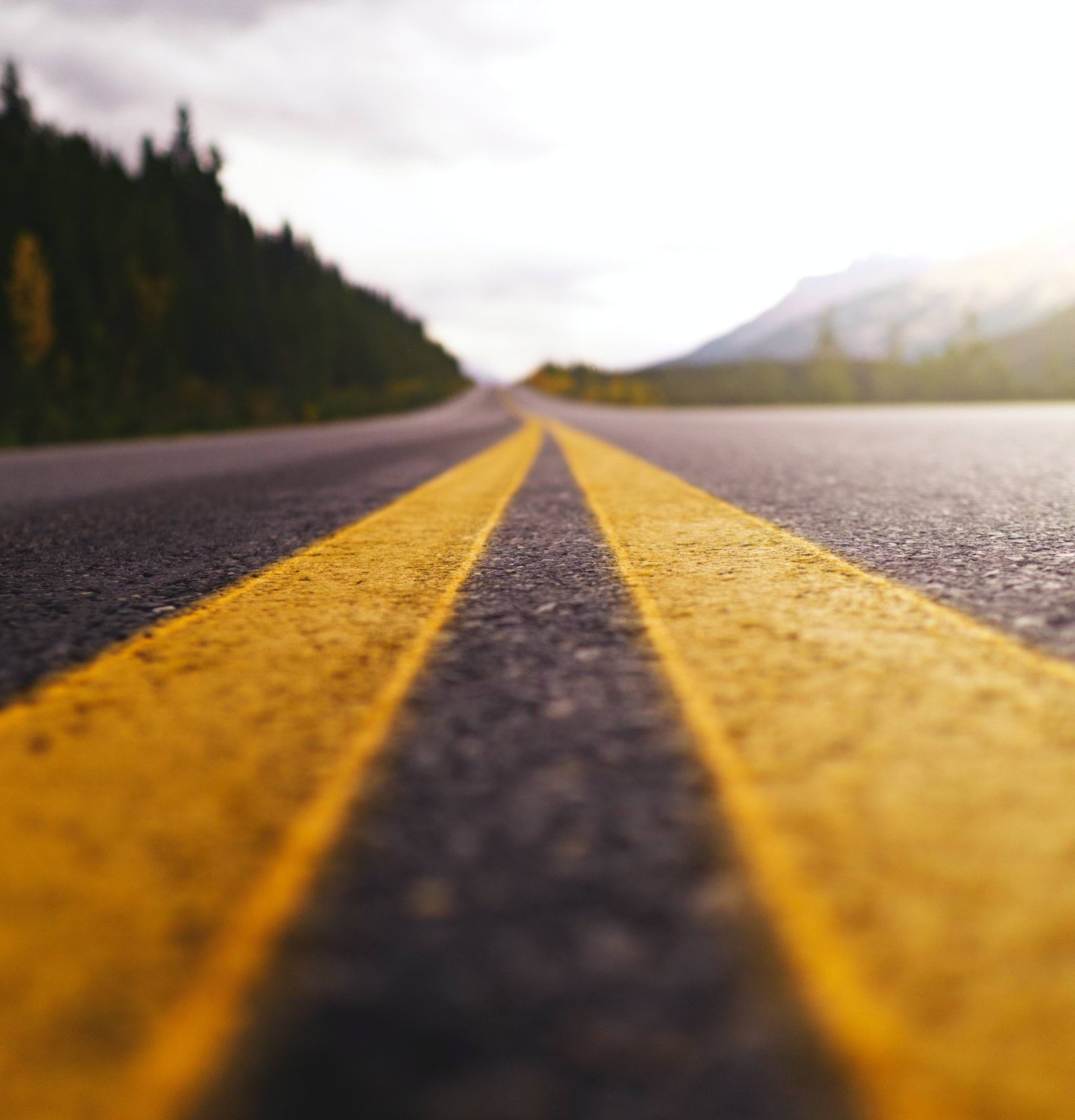 yellow and black road in between green trees under white clouds during daytime low angle