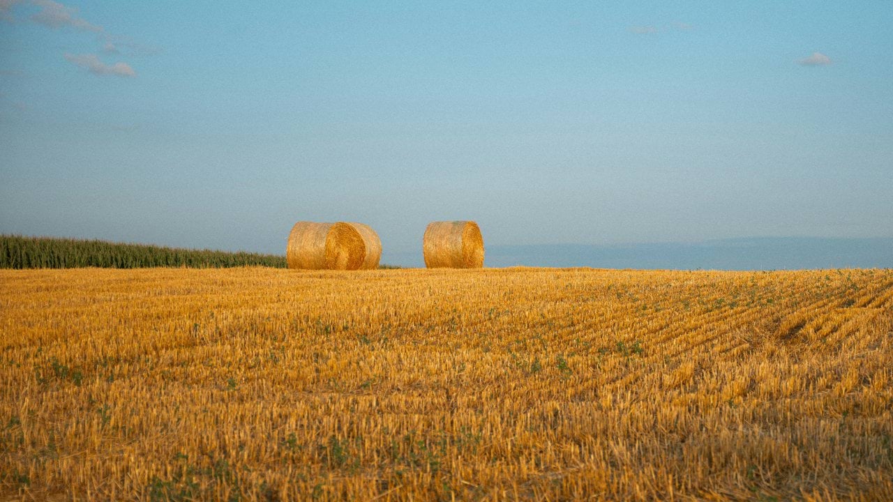 two bales of hay in a large field