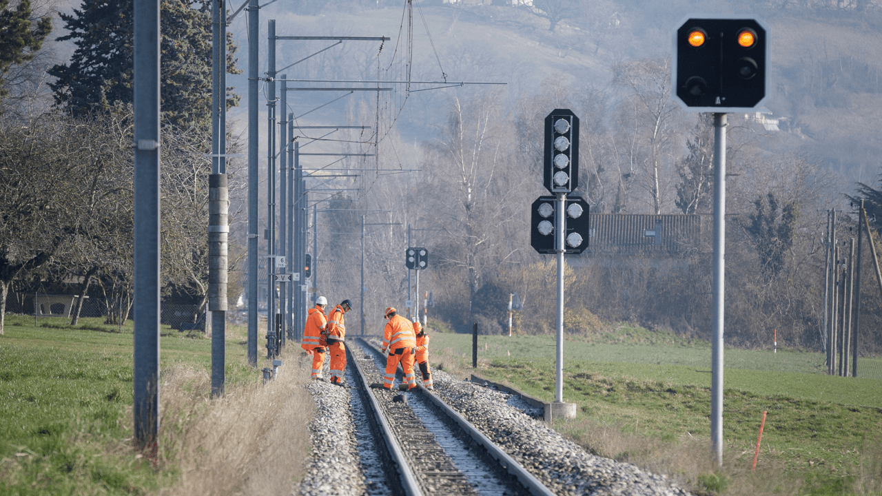 ligne