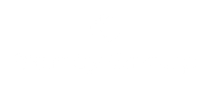 Sanity Group career site