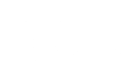 Bolt Insight career site