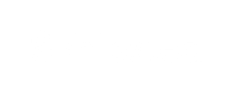 Schibsted sin karriereside