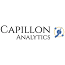 Capillon Analyticss karriärsida