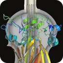StraDiVarious career site