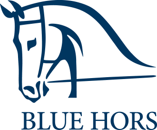 Karriereside for Blue Hors ApS