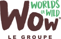 WOW Le Groupe : site carrière