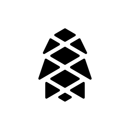 Pynea company logo