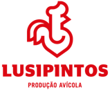 Site de carreiras de Lusipintos
