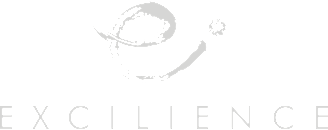 Excilience : site carrière