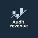 Audit Revenue : site carrière