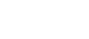 Sito carriera di Welyk