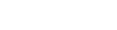 EFESO Management Consultants career site