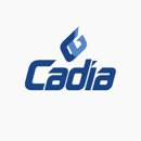 Cadia Group career site