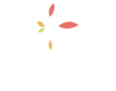 Kindred Nurseries career site