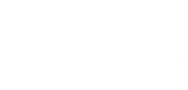 Forte Digital  sin karriereside