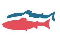 Gigante Salmon Rødøy AS sin karriereside