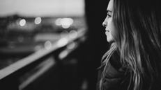 Northfork company logo