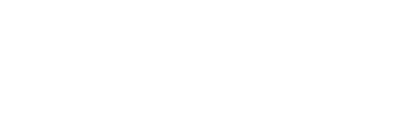 Wise People Group