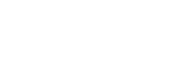 Vivas karriärsida