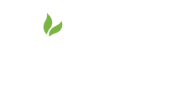 Noumi career site