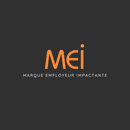 MEI : site carrière