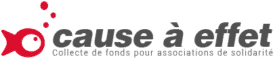 Cause A Effet : site carrière