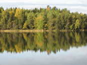 Logga för Miljö, klimat & hållbarhet