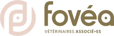 Logo de l'entreprise Fovéa Associés