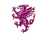 Somerset Cricket company logo