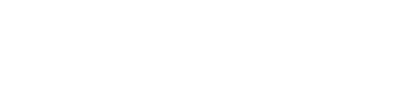 RONIN logotype