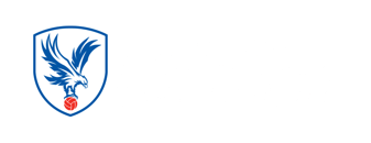 Palace For Life Foundation career site