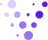 Validio company logo