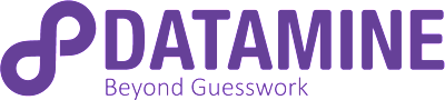 Datamine company logo