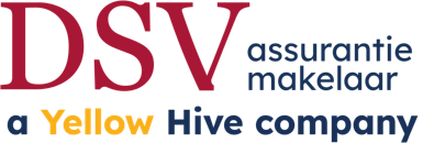 Logo voor DSV