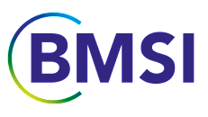 BMSI career site