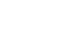 Vertical Sea : site carrière