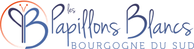 Les Papillons Blancs Bourgogne du Sud : site carrière