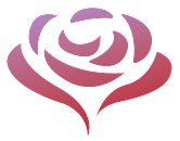Alexandras Community Care career site