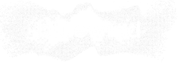 BLUEWIND S.R.L. career site