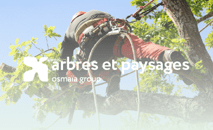 Logo pour Arbres et Paysages