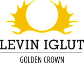 Levin Iglut career site