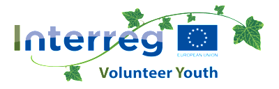 Interreg Volunteer Youth (IVY) career site