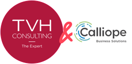 TVH Consulting : site carrière