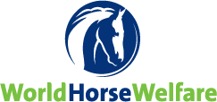 World Horse Welfare company logo