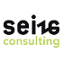 Seize consulting : site carrière